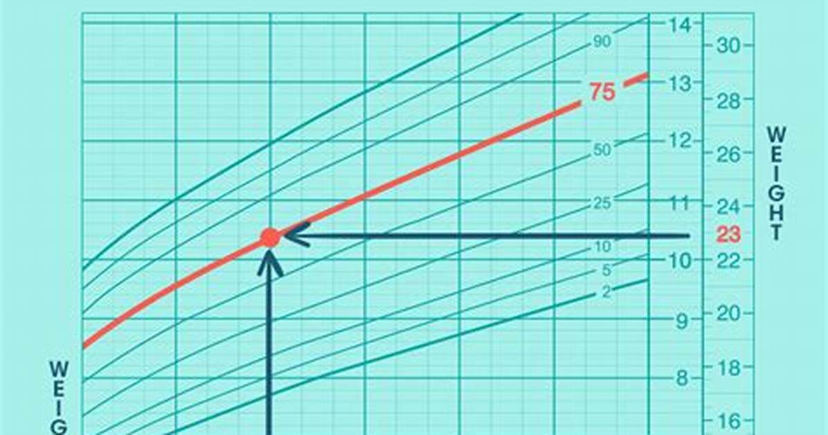 Tracking Growth Why 36 Kg 79 4 Lbs Is a Crucial Milestone in Large Dog