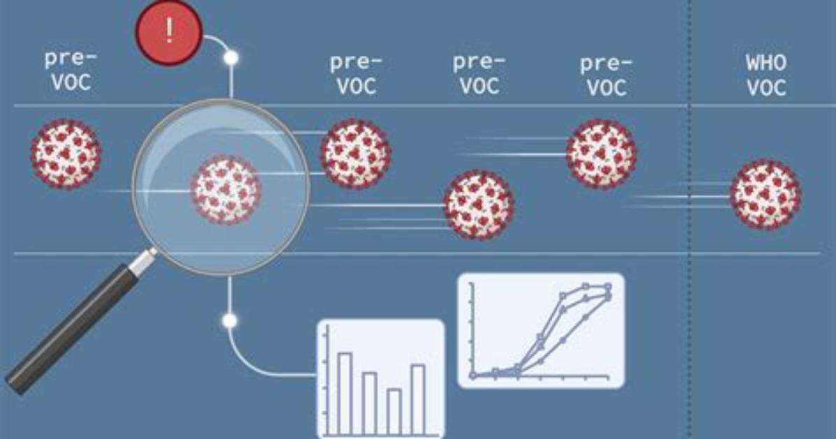 Tracking the Viral Surge How The
