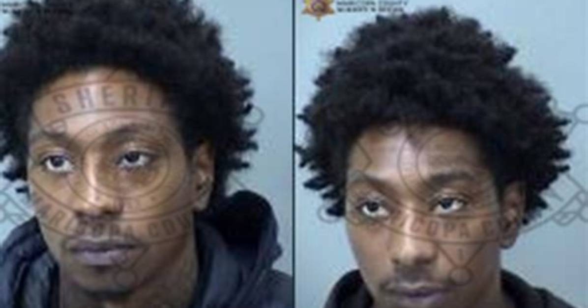 Twin Tiktok Stars Arrested in Dog Park Sting Shocking