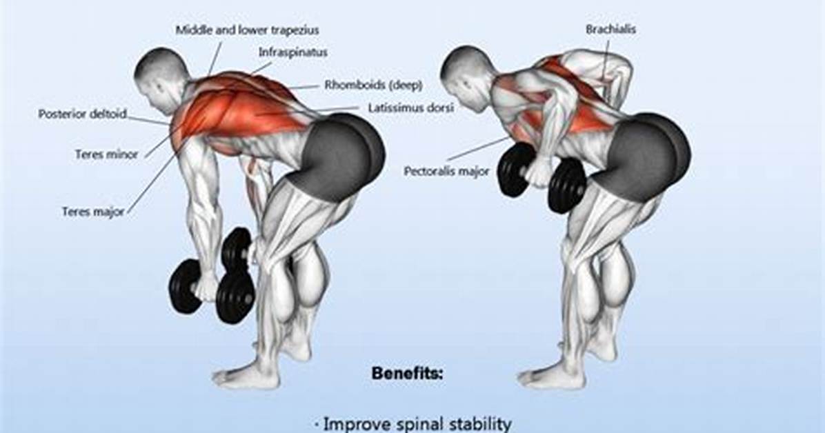 Two Arm vs Single Arm Dumbbell Rows Which Variation Really Builds A