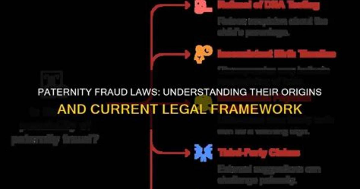 Understanding Paternity Fraud Legal Rights Dna Mandates and the Push For