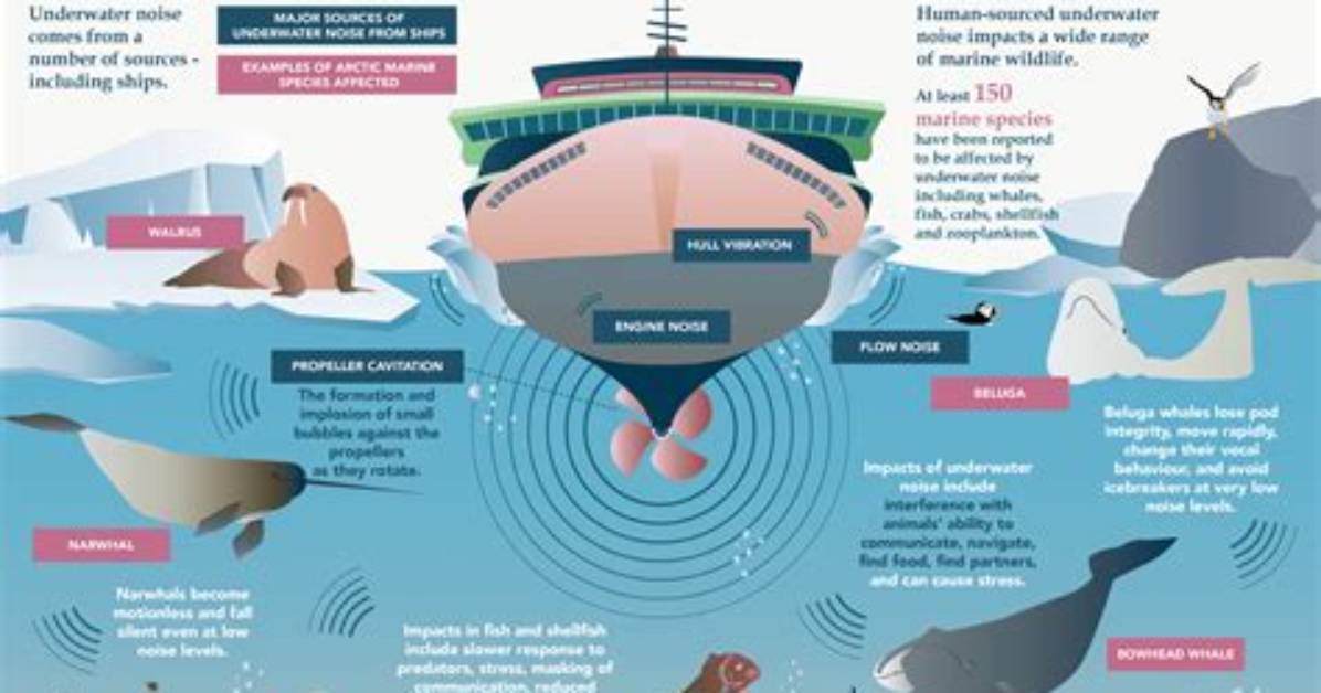 Verified Evidence Ocean Logs Examining Naval Collisions Historic Speed Records and Trans