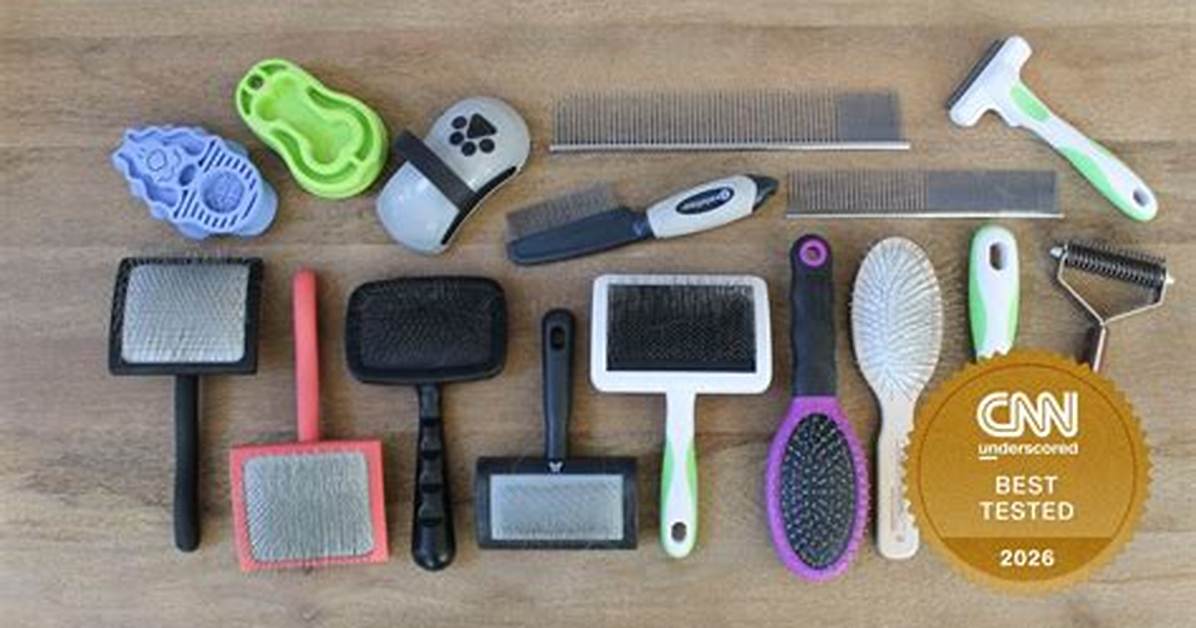 Vet Assistant Tested the Best Dog Brushes for Long
