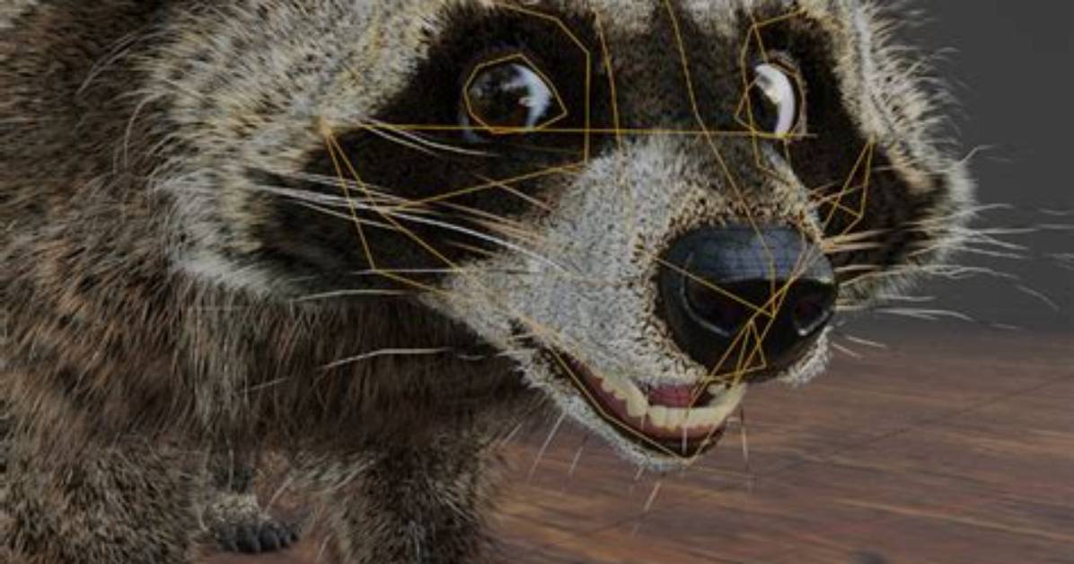 Video Evidence Breakdown How a Raccoon Reacted When Its Cotton
