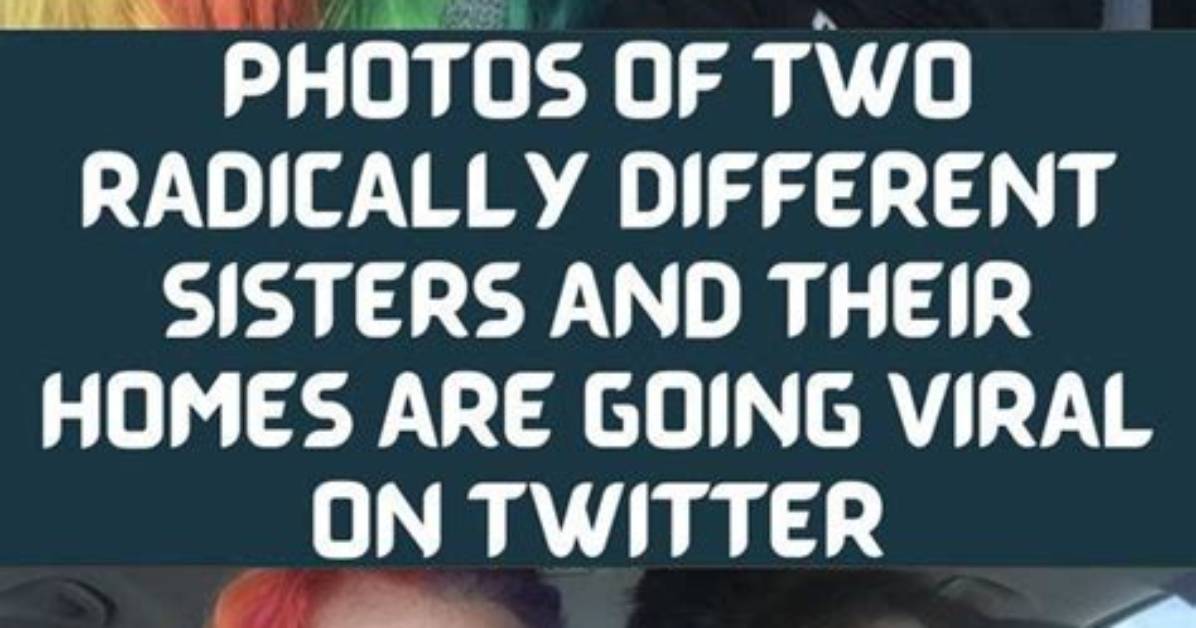 Visual Breakdown the Most Viral Hi Sisters Memes and Tiktok