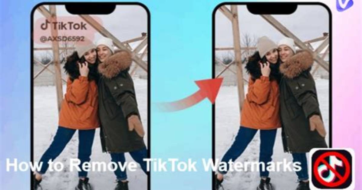 Visual Test Which Tiktok Watermark Removers Actually Preserve Crisp