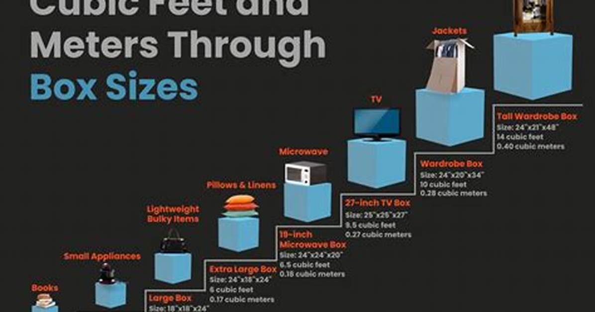 Visualizing 1 65 Meters in Feet Exact Height Scale And