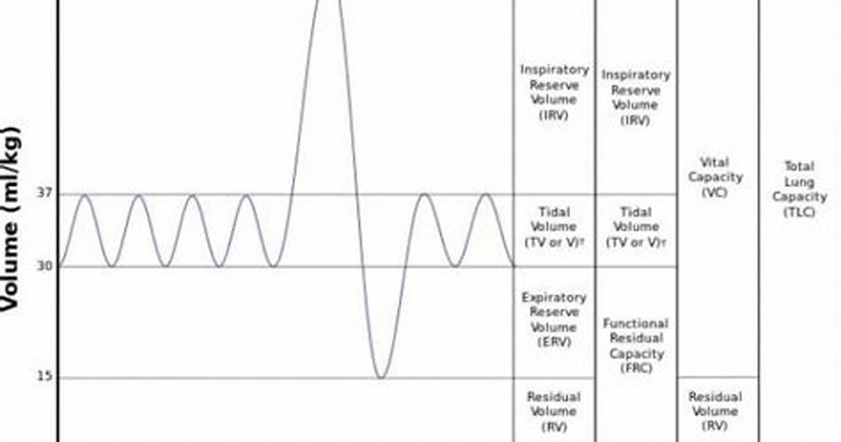 Vital Lung Capacity Calculator Charts Expected Normal Ranges by Age And