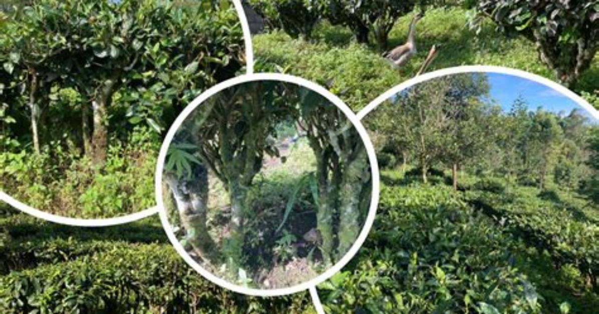 Wakuman Shan Bing Gong Qian Dianno Pin Jianehadou Zhi Ren Xiangke Shi Yong Futoautodoano Ping Panwo Che Di Jie