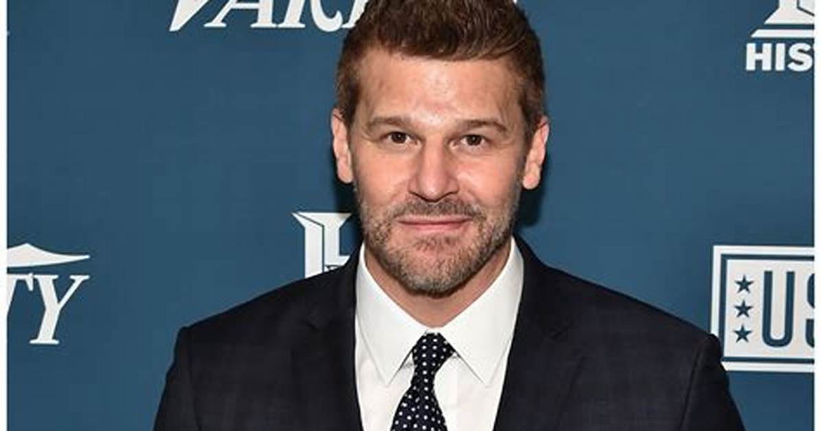 Was David Boreanaz Ever in the Military the Real Story Behind His Seal