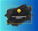 What Does 'Bb' Actually Mean? the Reality Tv Twist and Slang Everyone Missed