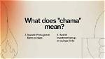 What Does 'Chama' Mean? the Complete Guide to Alex Pereira's Famous Saying
