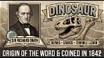 What Does. Com Actually Mean? the Origin Story Most People Get Completely Wrong