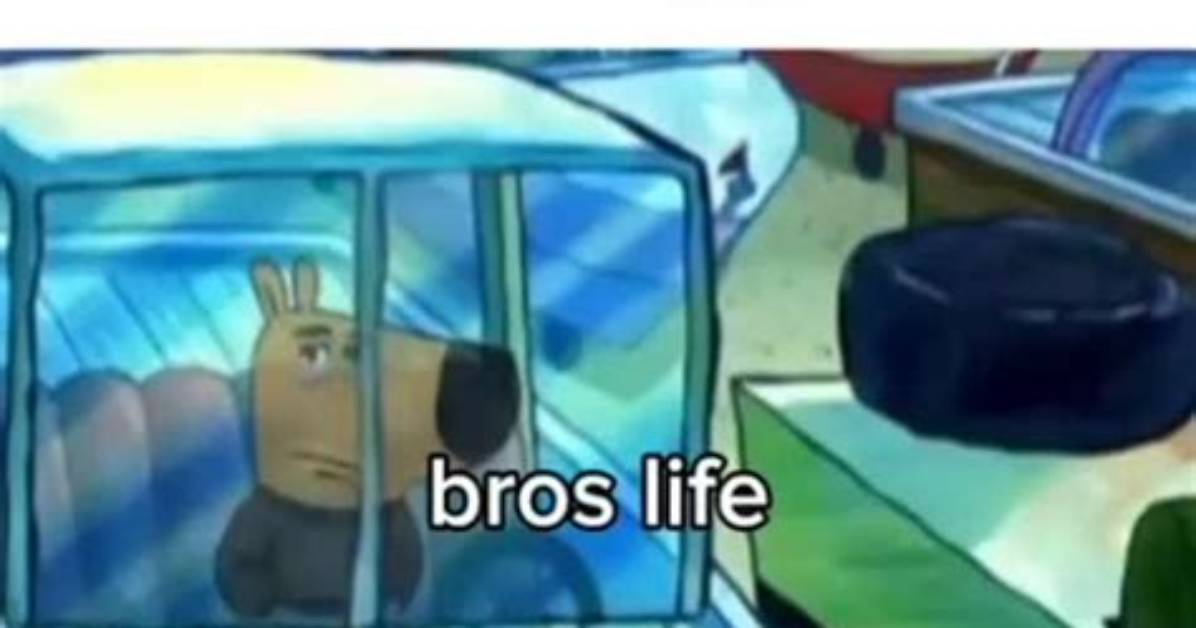 What Does How Bro Sees Life Actually Mean the Complete Cultural