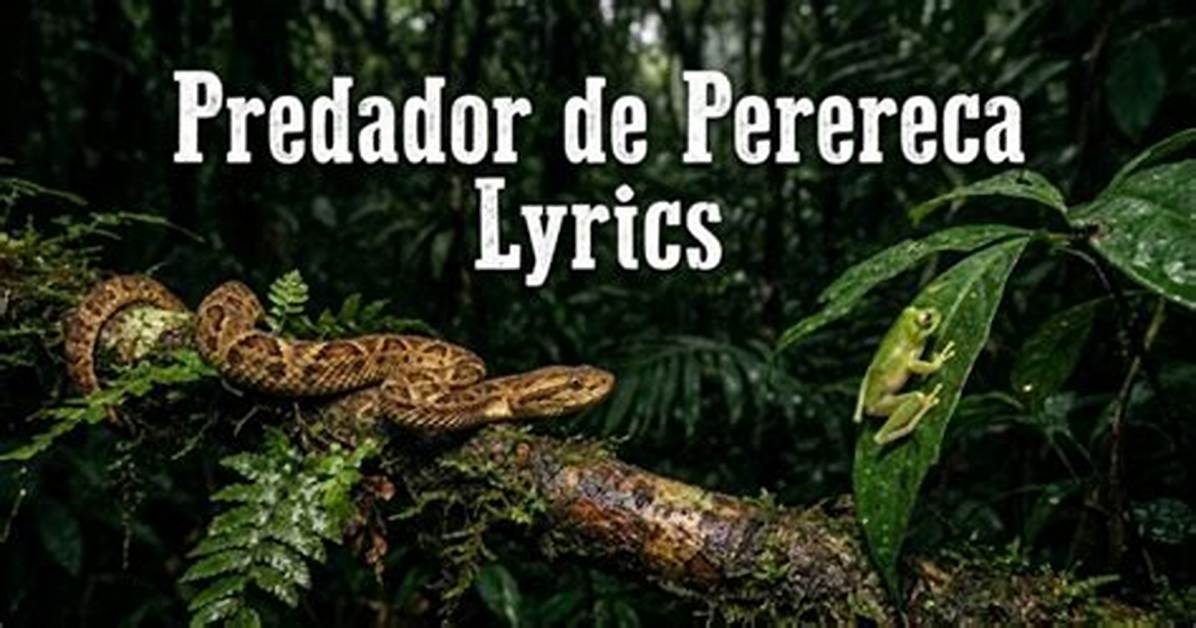What Does Predador De Perereca Really Mean Shocking Tiktok Song