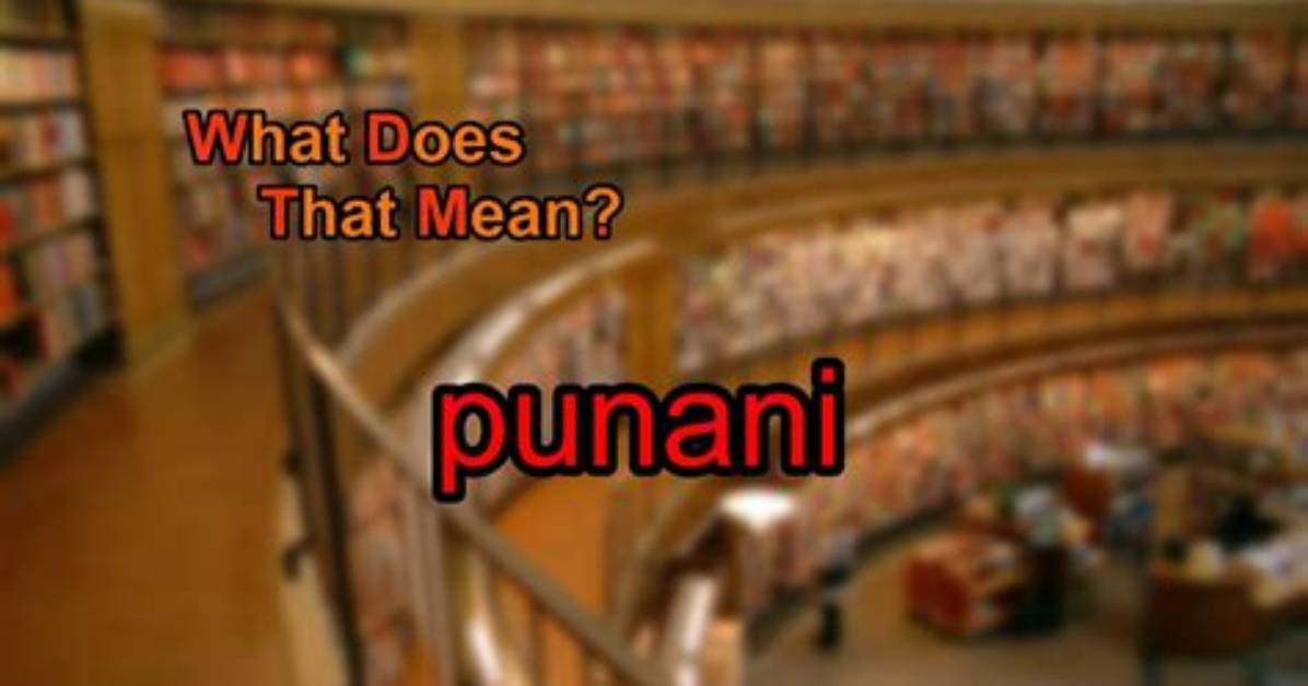 What Does Punani Actually Mean the Shocking Meaning Behind The
