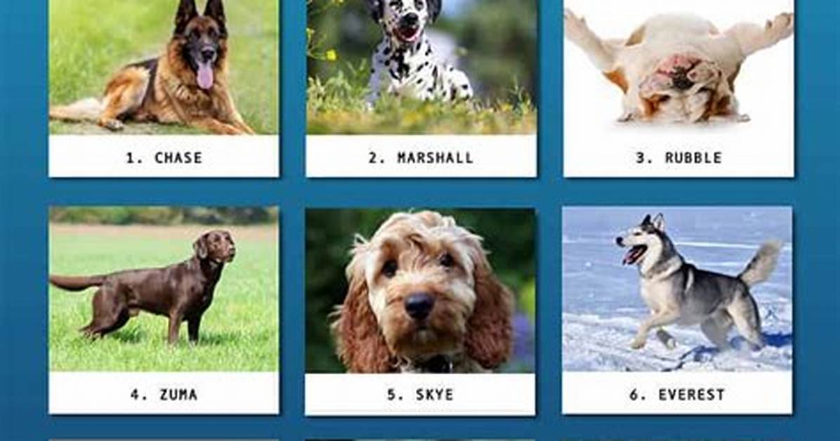 What Dog Breeds Are the Paw Patrol Pups the Real Canine