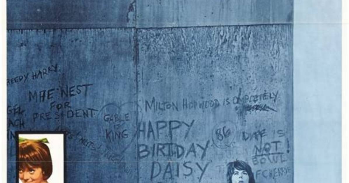 What Happened to Petite Daisy Inside the Heartbreaking Shelter Video