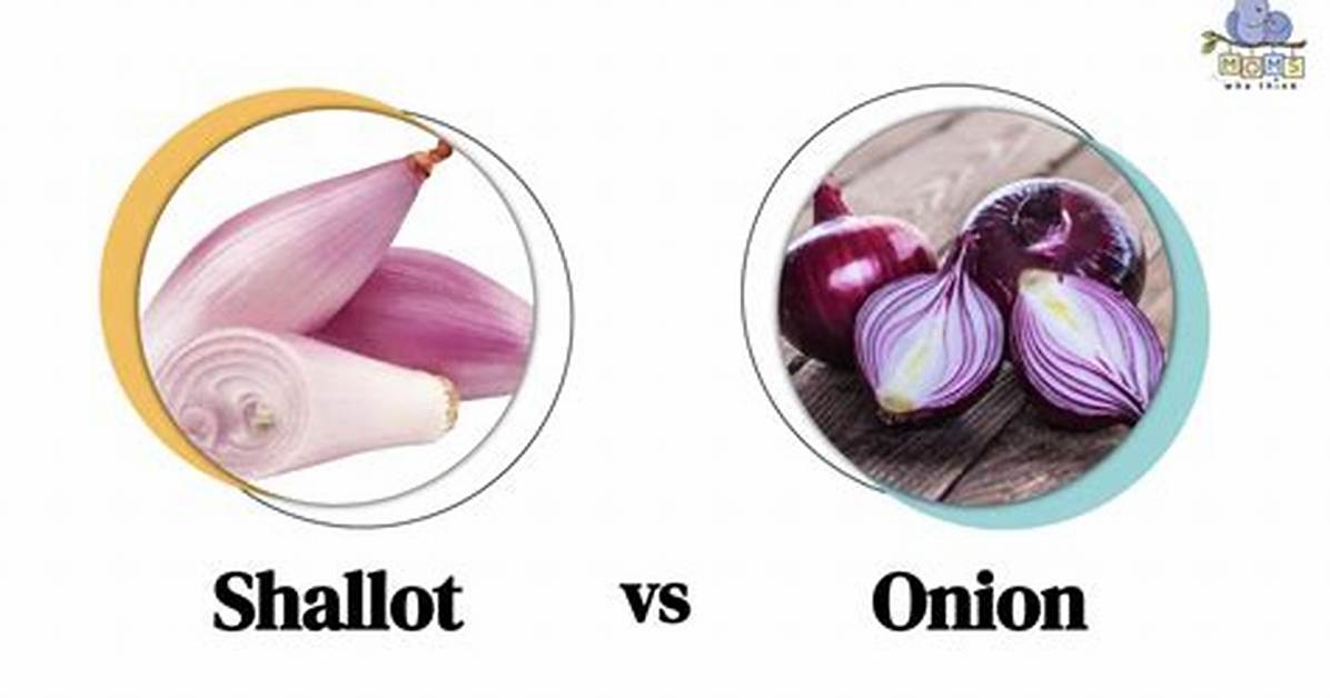 What Is a Shallot Why This Understated Kitchen Staple Is Dominating Viral