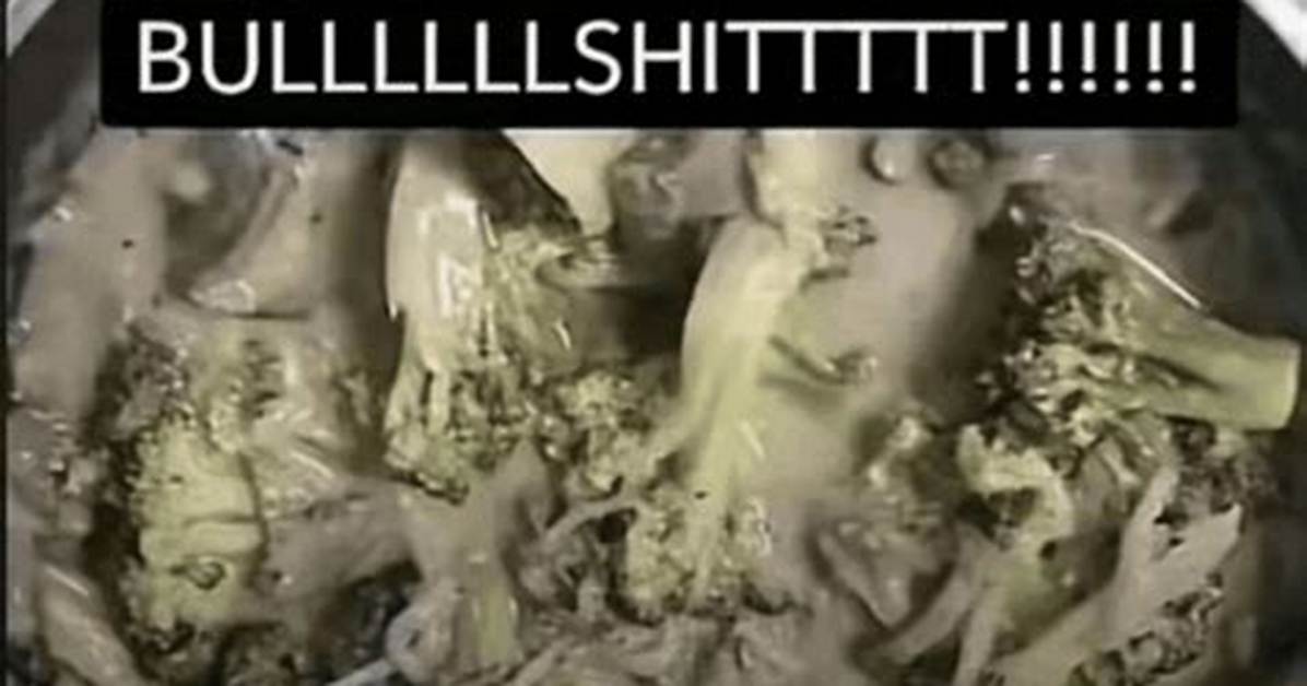 Where Did I Just Made Some Bullshit Come from the Viral Sound Taking Over