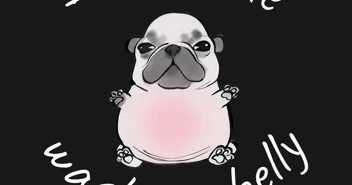Where Did Pibble Wash My Belly Come from Original Source and Audio