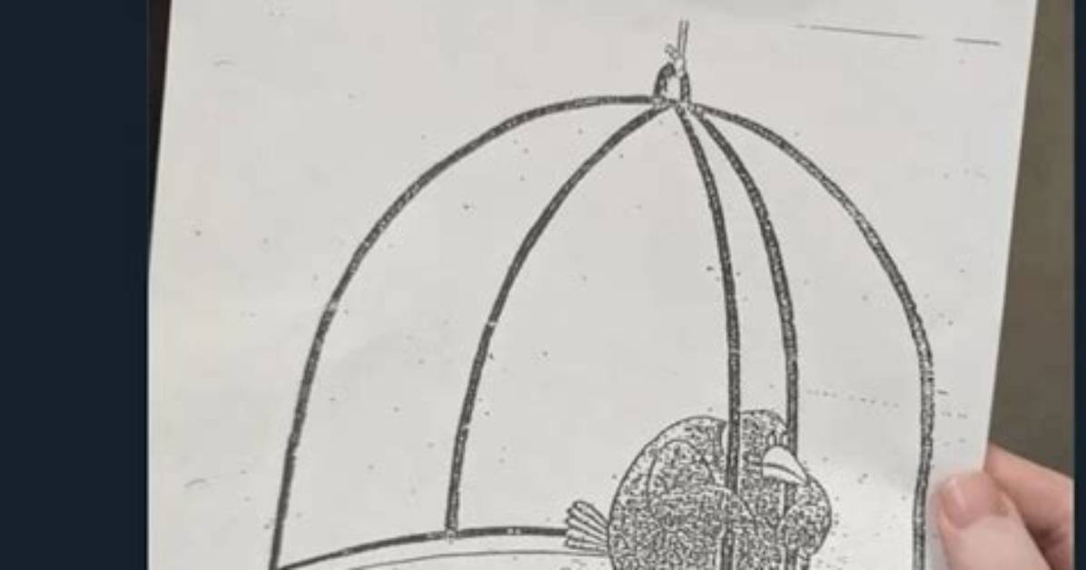 Where Did the Bird in Cage Meme Come from Original Source And