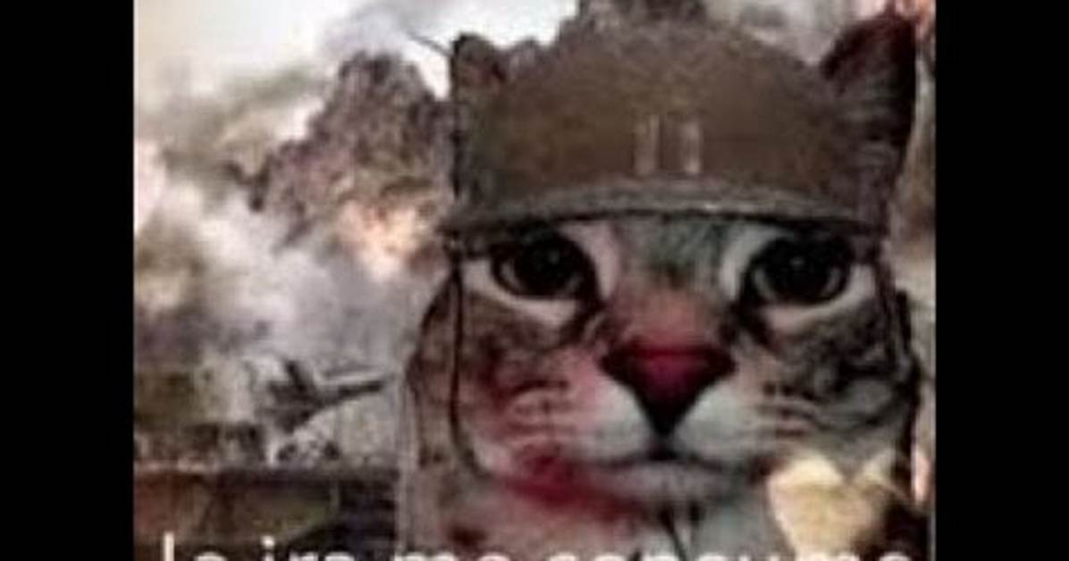 Where Did the La Ira Me Consume Meme Actually Come from the Surprising