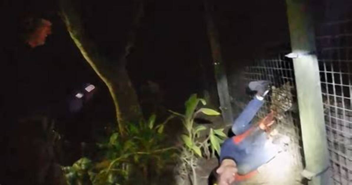 Where Is River Rosenquist Today the Life of the Man Behind the Tragic Naples Zoo