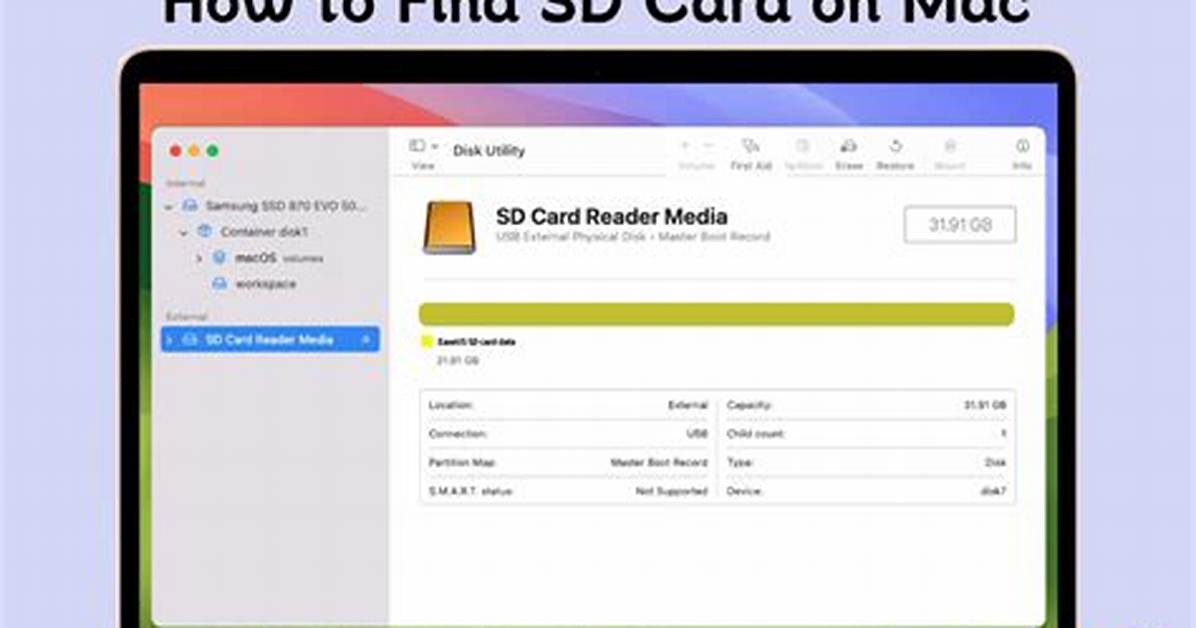 Where to Find Sd Card Readers in Dollar General Aisle Breakdown And