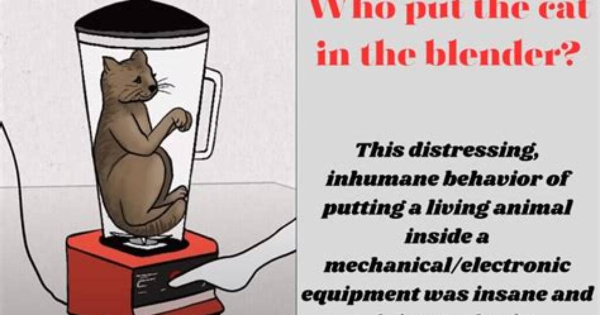 Who Made the Cat in the Blender Video Culprit Identity And