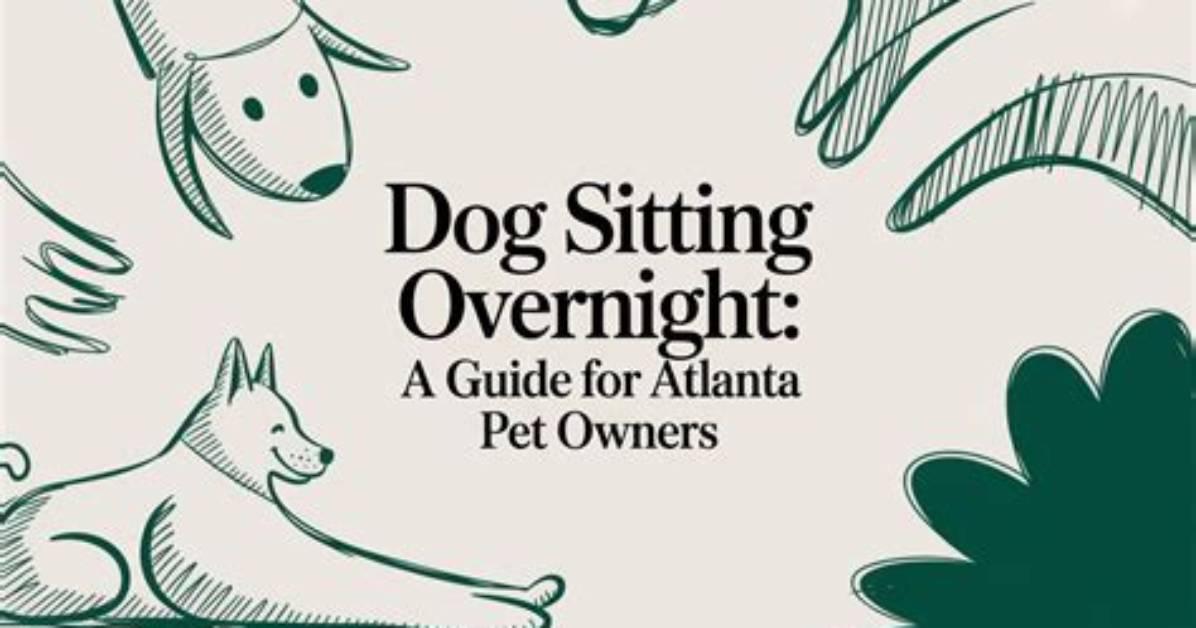 Why Atlanta Dog Owners Are Rushing to Hire Trainers Before It Is Too