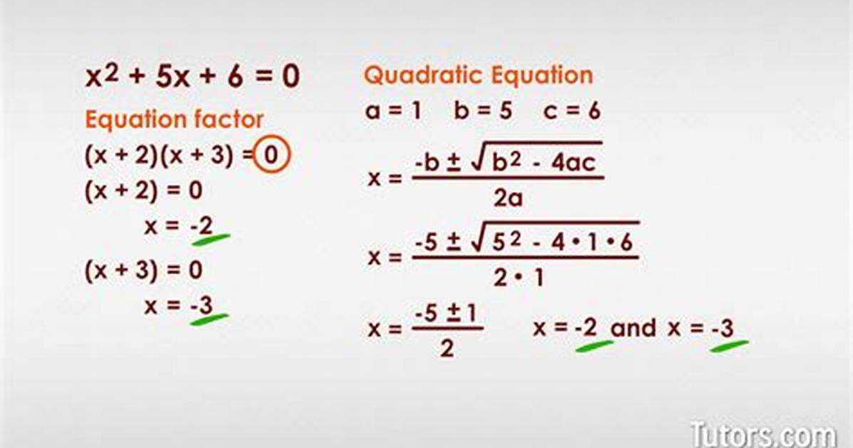 Why the Simple Equation 8 Divided by 2 Is Breaking The