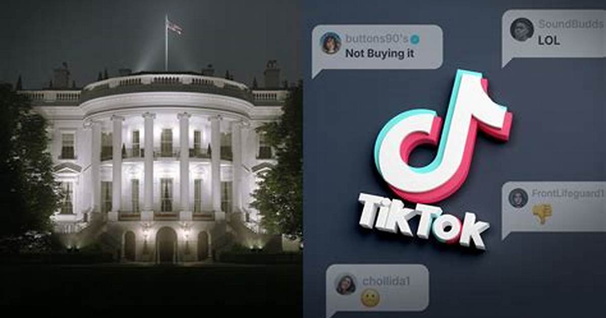Why the White House Tiktok Went Completely Muted the Zara Larsson