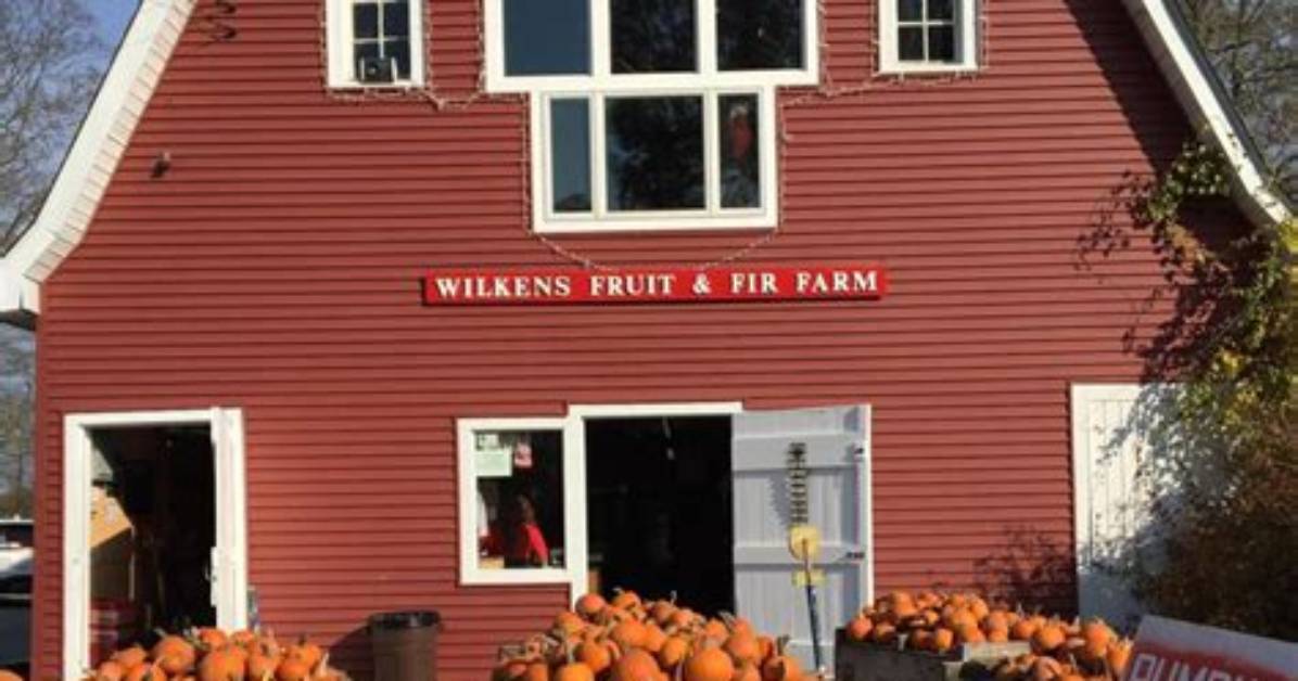Wilkens Fruit and Fir Farm Guide Hours Picking Schedule And