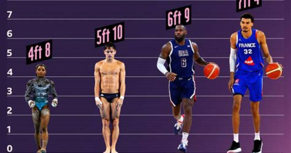 Wnba Height Comparison Visualizing the All Time Tallest Players Side By