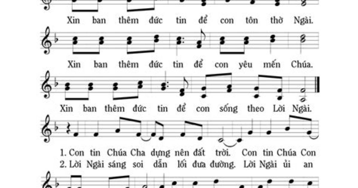 Xin Da Ban Shi Fano Xin Gan Xianha Hao Shudewakaru Nozomi Hikarino Lie Che Fan Haono Fa Zewo Che Di