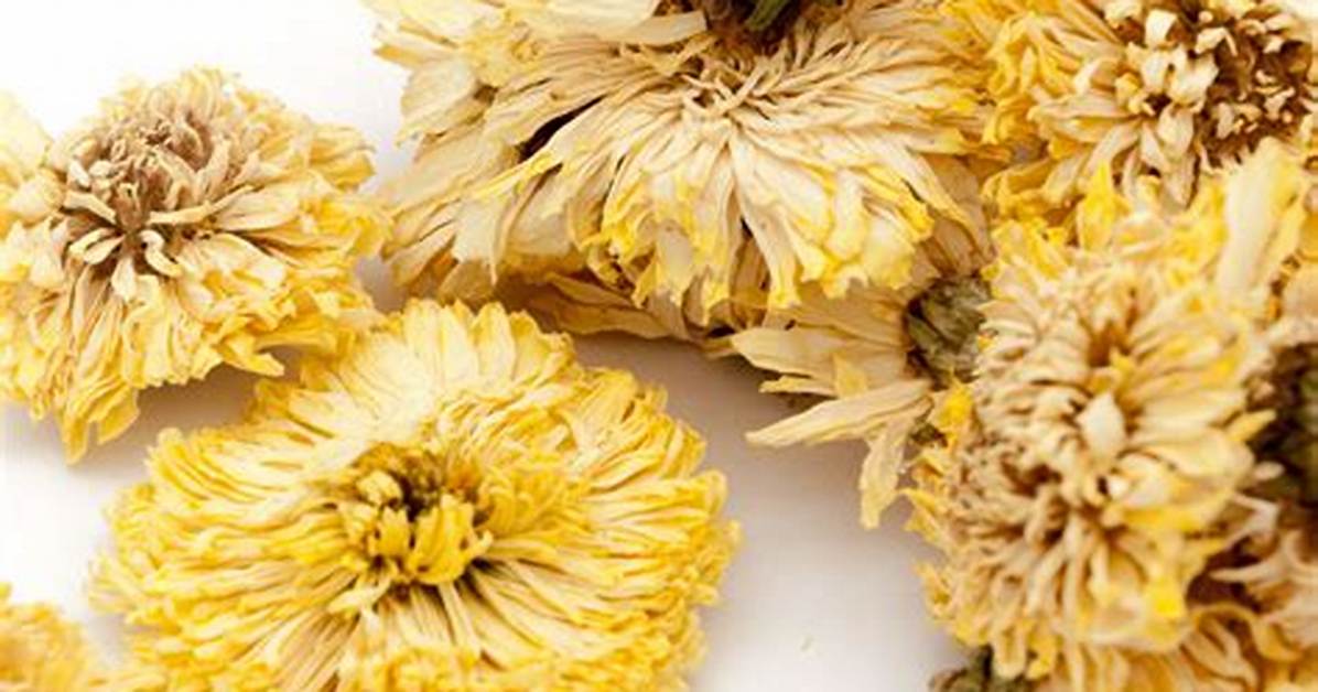 Zhaori Shaoki Fengsosudepanga Ju De Jin Hua Hausu Shi Pin Nadiano Zui Xinarenjiwo Che Di Jie